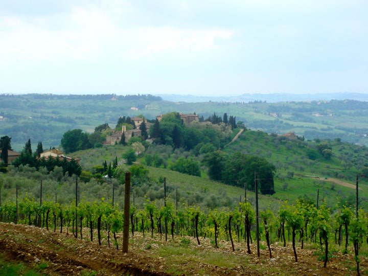 tuscany chianti classico vineyards